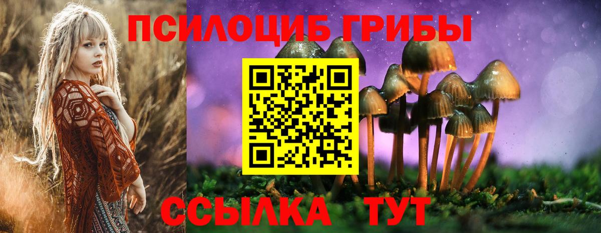 Галлюциногенные грибы прущие грибы  Вход с VPN  Урюпинск 